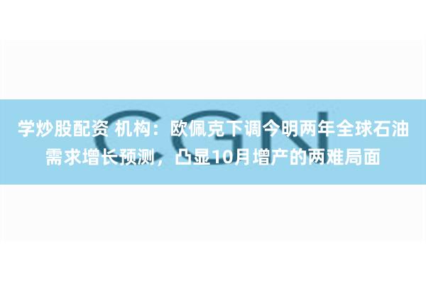 学炒股配资 机构：欧佩克下调今明两年全球石油需求增长预测，凸显10月增产的两难局面