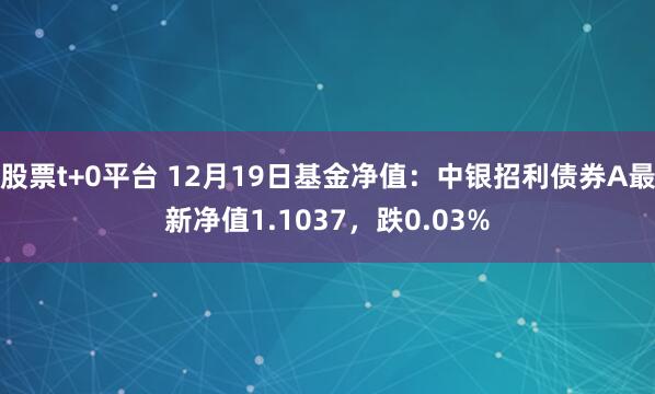 股票t+0平台 12月19日基金净值：中银招利债券A最新净值1.1037，跌0.03%