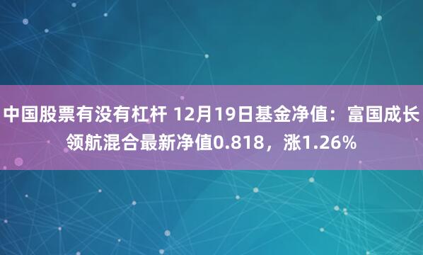 中国股票有没有杠杆 12月19日基金净值：富国成长领航混合最新净值0.818，涨1.26%