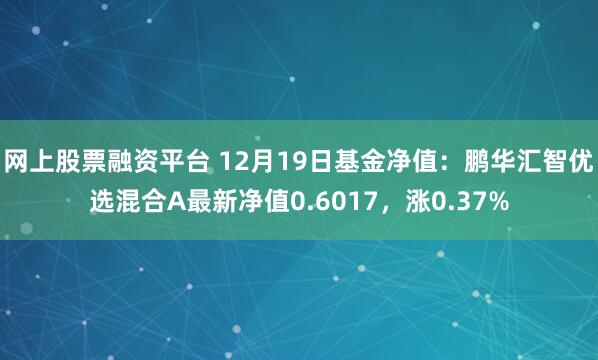 网上股票融资平台 12月19日基金净值：鹏华汇智优选混合A最新净值0.6017，涨0.37%