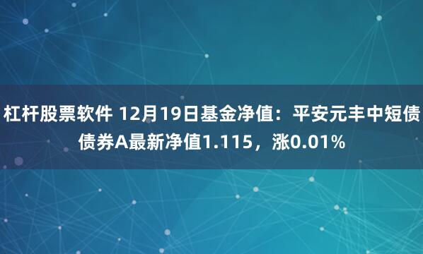 杠杆股票软件 12月19日基金净值：平安元丰中短债债券A最新净值1.115，涨0.01%