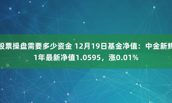 股票操盘需要多少资金 12月19日基金净值：中金新辉1年最新净值1.0595，涨0.01%