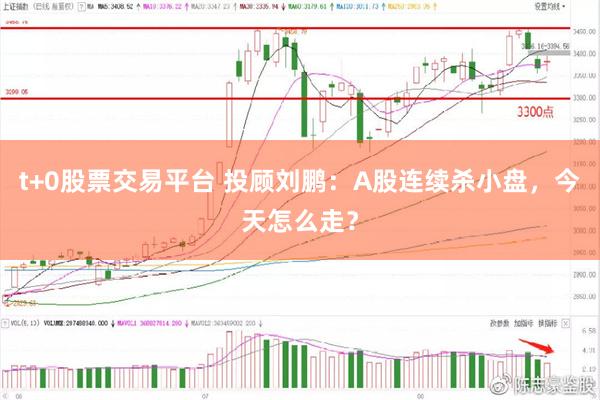 t+0股票交易平台 投顾刘鹏：A股连续杀小盘，今天怎么走？