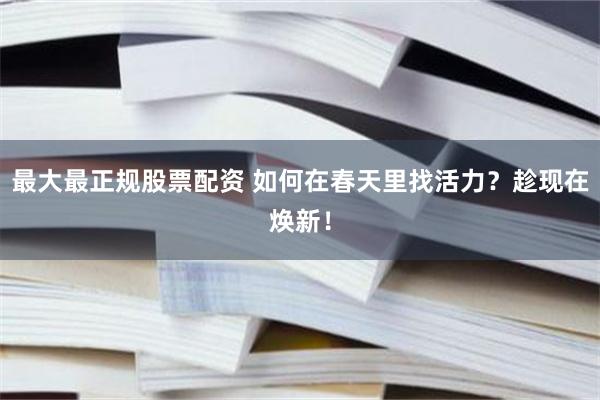 最大最正规股票配资 如何在春天里找活力？趁现在焕新！