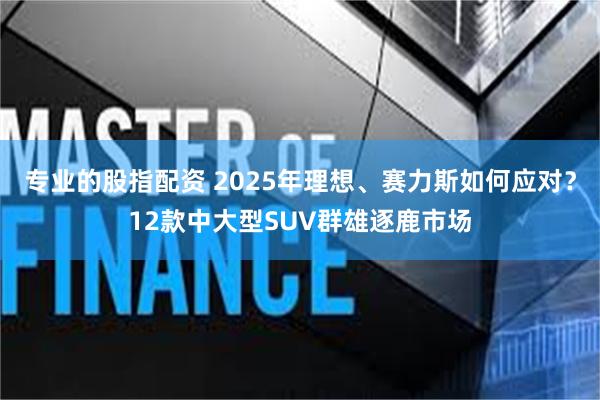 专业的股指配资 2025年理想、赛力斯如何应对？12款中大型SUV群雄逐鹿市场