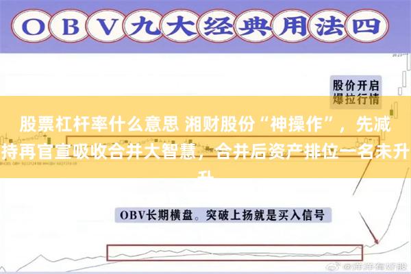 股票杠杆率什么意思 湘财股份“神操作”，先减持再官宣吸收合并大智慧，合并后资产排位一名未升