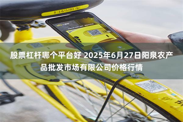 股票杠杆哪个平台好 2025年6月27日阳泉农产品批发市场有限公司价格行情