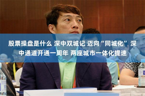 股票操盘是什么 深中双城记 迈向“同城化” 深中通道开通一周年 两座城市一体化提速
