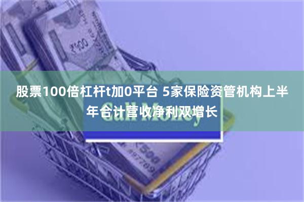 股票100倍杠杆t加0平台 5家保险资管机构上半年合计营收净利双增长